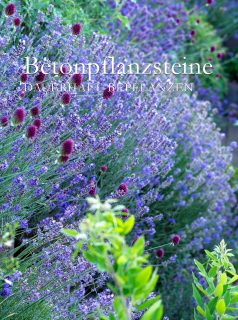 Betonpflanzsteine schön und dauerhaft bepflanzen

Eine Gartenmauer aus Betonpflanzsteinen kann durchaus ein blühender Garten sein und ein Paradies für Bienen, Schmetterlinge und andere Insekten. Es kommt nur auf die richtige Auswahl der Pflanzen an. Damit die Bepflanzung nicht in Arbeit ausartet, setzen Sie Standort gerechte Pflanzen.

Viele Pflanzen kommen, einmal gepflanzt und etabliert, den ganzen Sommer über völlig ohne zusätzliche Wassergaben aus. Allen voran Gaura, Katzenminze, Lavendel, Spornblume, einige Storchschnäbel, aber auch Goldmohn, Bart-Iris, Fetthenne und Teppichsedum.

Pflanzenlisten und Tipps zum Begrünen von Betonpflanzsteinen in sonnigen, halbschattigen und schattigen Lagen im Blog:

https://www.wo-blumenbilder-wachsen.de/betonpflanzsteine-bepflanzen/

Kurz: http://www.insbeet.de/Pflanzsteine

#pflanzsteine #gartenmauer #mauersteine #gartengestaltung #gartenblog #gartenwissen #naturgarten #gartenideen #gärtnern #gartenblogger #pflanzplan #steinmauer #gartentipps #gartenbau #staudengarten #gartenplanung #blumengarten #garten #gartenfragen #pflanzen #tippsfürdengarten #hausundgarten #lavendel #garteninspiration #hangbeet #terrassieren #landhausgarten #terrassengestaltung #gartenundlandschaftsbau #omsystemde