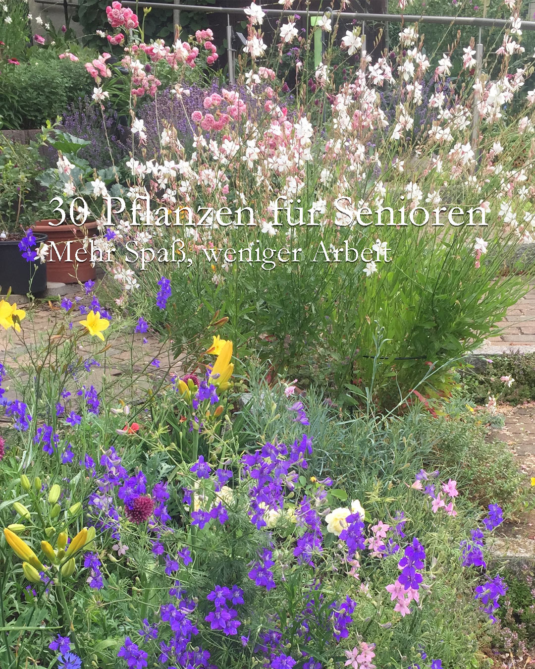 Leichter gärtnern | Seniorengerechte Pflanzen

Was tun, wenn die Kräfte von Jahr zu Jahr schwinden? Auf den Garten verzichten, nur weil man nicht mehr ganz taufrisch ist? Niemals! Herausforderungen sind schließlich dafür da, gelöst zu werden. Das gilt auch für einen sicheren, seniorengerechten Garten und für schöne Pflanzen, die ohne großen Kraftakt auskommen und dabei das ganze Jahr über gut aussehen.

Ich gehöre inzwischen zur Generation 60+ und hätte auch nicht gedacht, dass meine Kräfte für manche Gartenarbeit kaum reichen. Säcke schleppen, Kompost umsetzen, riesige Stauden teilen ... sind keine Arbeiten mehr für mich. Deswegen habe ich schon vor einiger Zeit angefangen, meinen Hanggarten leichter zu gestalten. Ich kann ja nicht immer darauf hoffen, dass K3 vorbeikommt und die schweren Arbeiten für mich übernimmt.

Im Blog: 30 schöne Pflanzen für Senioren. Leichter gärtnern - aber sicher!
https://www.wo-blumenbilder-wachsen.de/30-beste-pflanzen-fuer-senioren/

Kurz: https://www.insbeet.de/Seniorenpflanzen

#pflanzen #garten #gartentipps #gartenwissen #gartengestaltung #lebenmitblumen #senioren #pflegeleicht #stauden #perennials #blumengarten #gartenblog #greenliving #sicherheit #sicher #instagarden #hochbeet #vorgarten #pflanzenfreude
