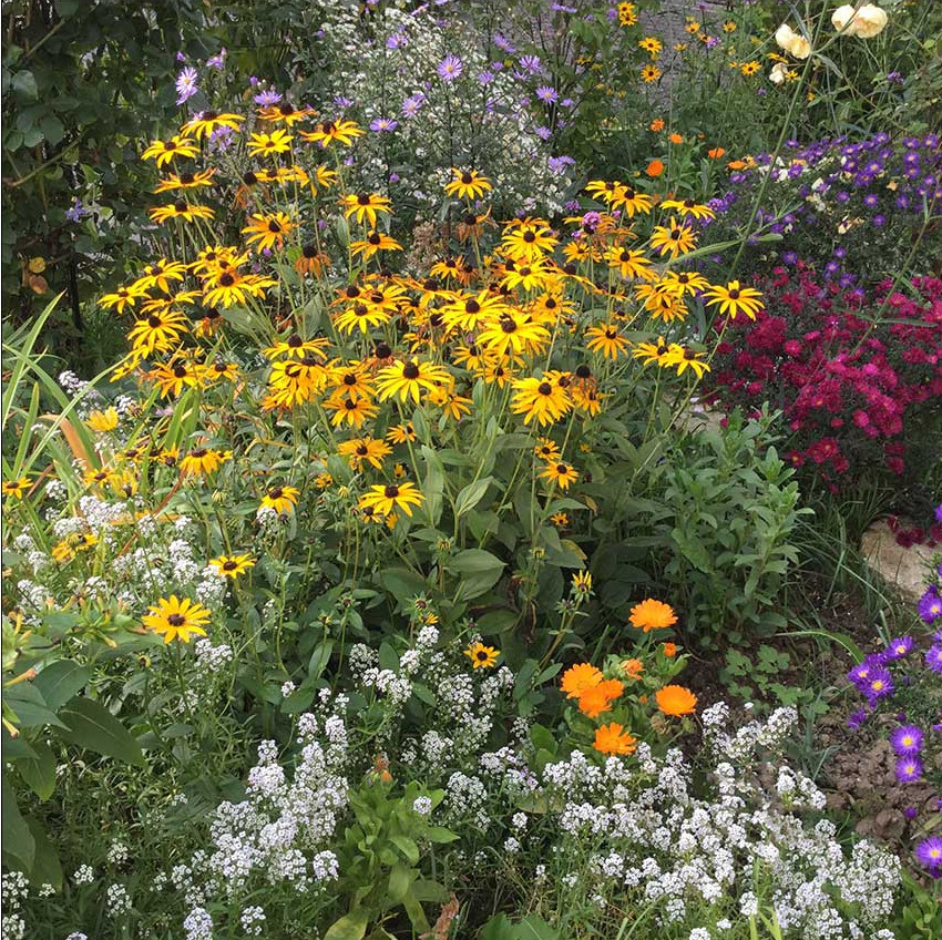 In einem dicht bepflanzten Beet unterstützen sich Pflanzen gegenseitig - auch ohne Pflanzenstützen. Unkraut hat ebenfalls kaum noch eine Chance 