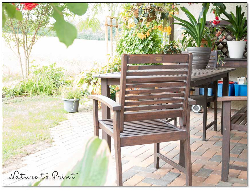 Mobiler großer Gärtnertisch im Hintergrund. Platz für Zimmerpflanzen in der Sommerfrische.