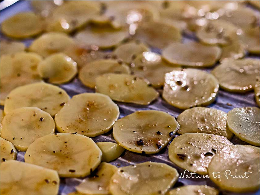 Gewürzte Kartoffelscheiben einlagig auf Backpapier und einem Ofenrost ausgelegt