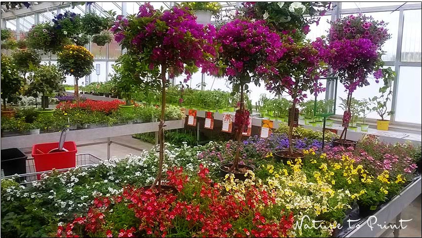 Ein Gartenevent macht noch lange keine gute Gärtnerei