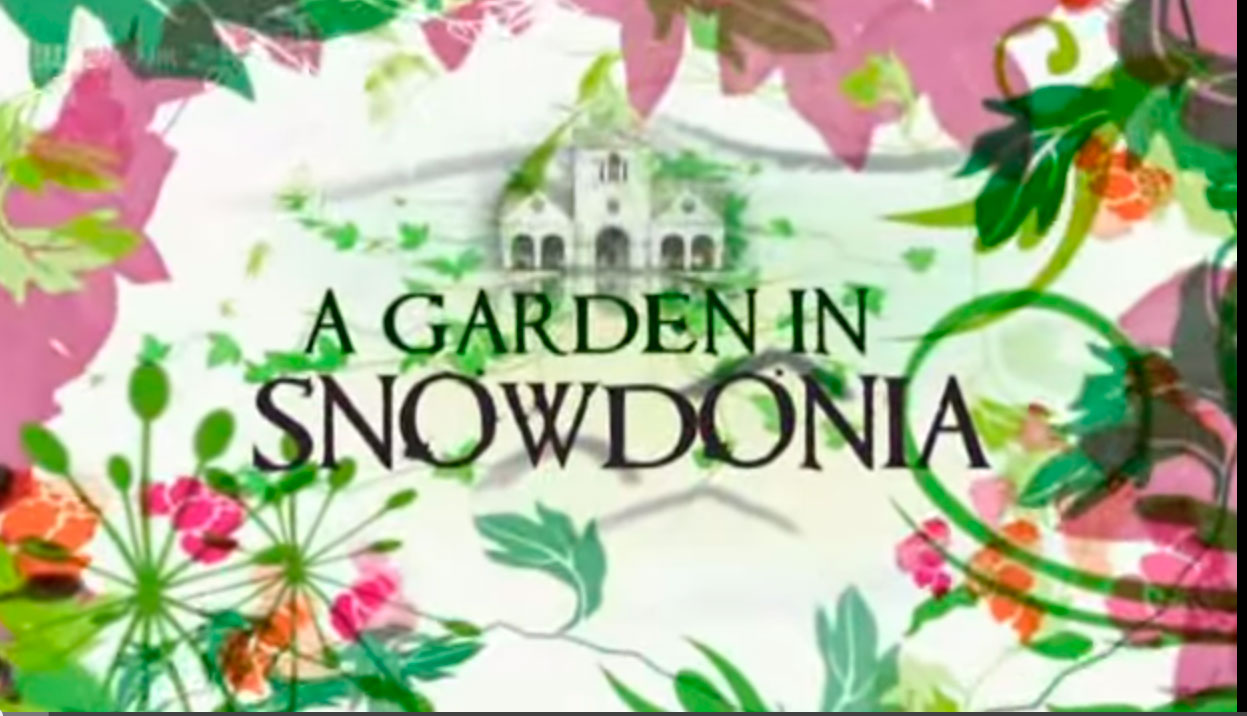 Ein Garten in Snowdonia