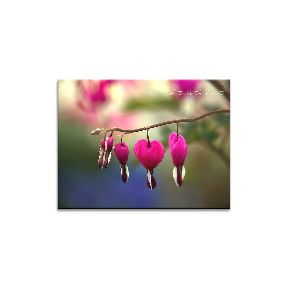 Das Tränende Herz mit Traubenhyazinthen | Blumenbild von Nature to Print