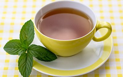 Beste Bio-Pfefferminze im Garten und in Topfkultur