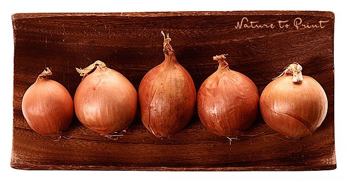 5 Zwiebeln, etwas Schinken, Sahne, Kümmel und Pfeffer verwandeln einen einfachen Hefeteig in einen köstlichen Zwiebelkuchen