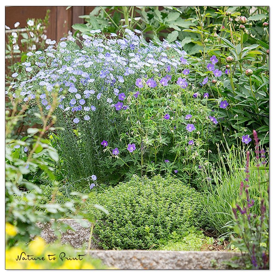 Pflegeleichte Pflanzen für Senioren halten die Treppe sauber und sicher. Pflegeleichte Pflanzen für Senioren halten die Treppe sauber und sicher.