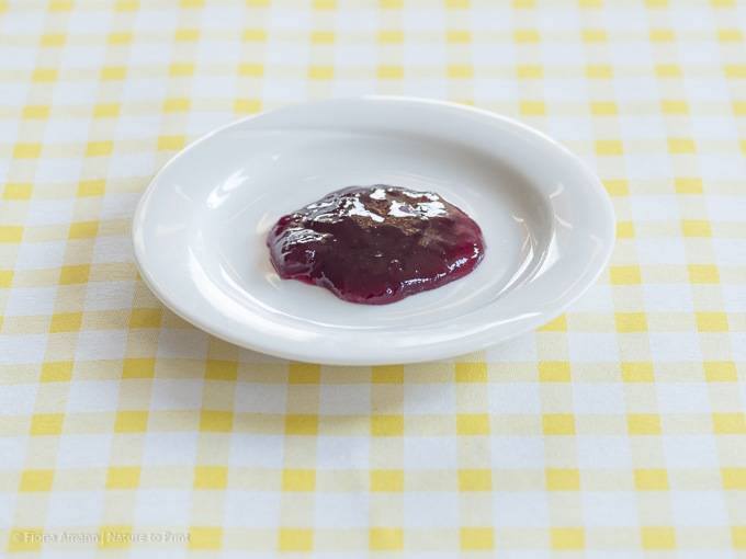 Ameisen vertreiben mit Marmelade, statt Gift.