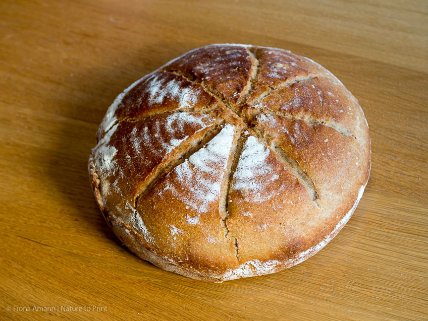 Kartoffelbrot mit Dinkel und im Gusseisentopf gebacken