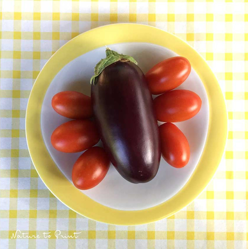 Erste Auberginen sind ab Ende Juli reif - zusammen mit Datteltomaten
