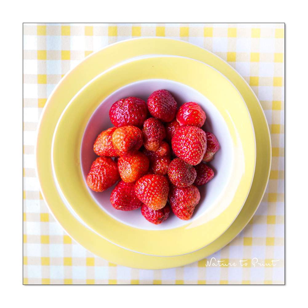 Frische Erdbeeren aus dem Garten. Das Hochbeet verlängert die Erdbeersaison.