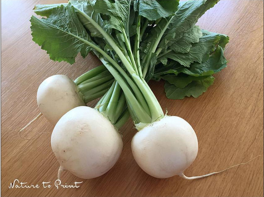 Mairüben, 6 schnelle Rezepte für die gesunde Küche