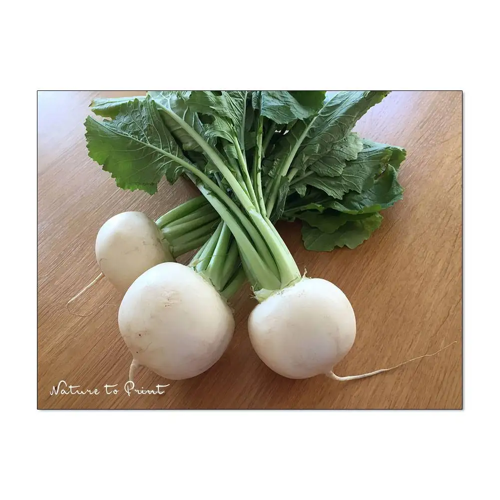 Mairüben, 6 schnelle Rezepte für die gesunde Küche