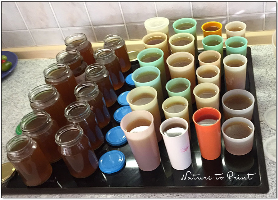 gute Fleischsuppe, gesiebt und portioniert und fertig zum Eirnfrieren oder Konserviveren