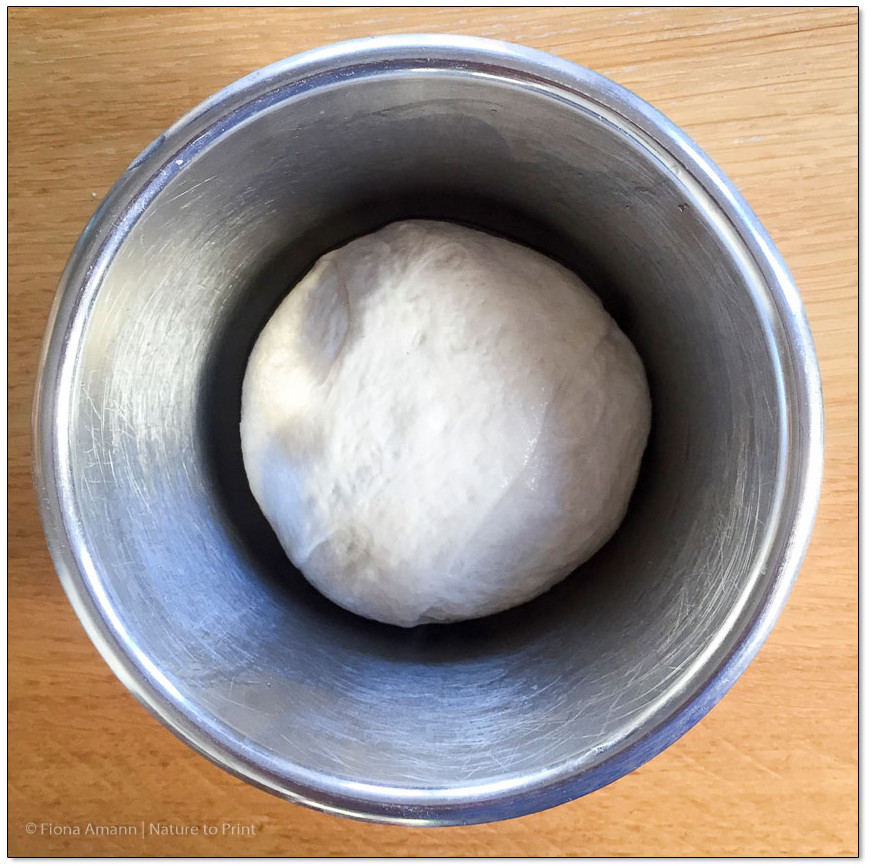 Fertiger Pizzateig Lievito Madre ruht für 12-24 Stunden im Kühlschrank