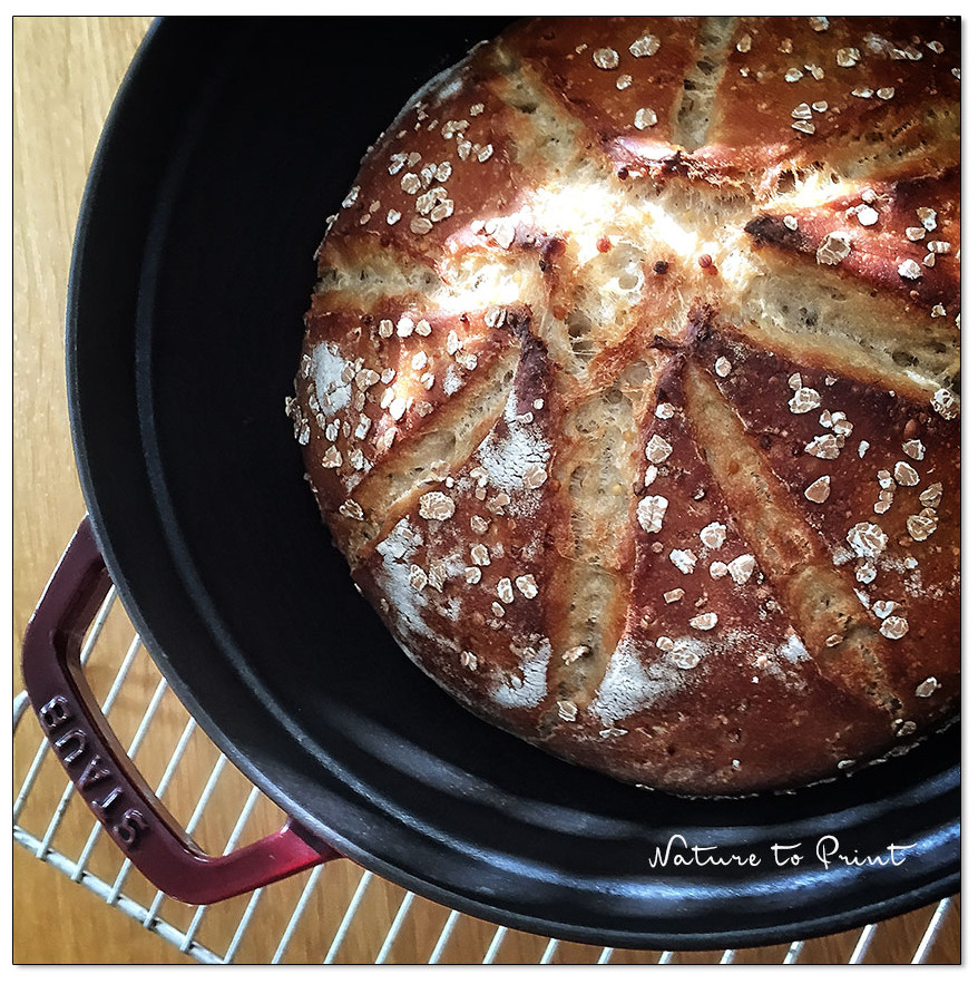 Der Gusseisentopf hält die Hitze dort, wo sie hin soll.