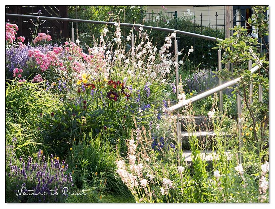 30 beste Pflanzen für Senioren. So macht Garten lange Spaß.