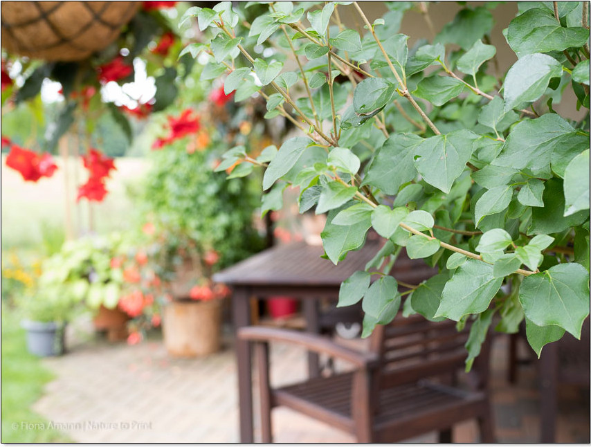 Sitzbank aus Holz auf einer überdachten Terrasse Sitzbank aus Holz auf einer überdachten Terrasse