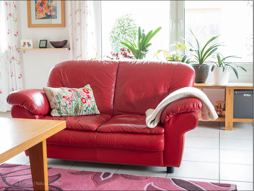 Rotes Ledersofa aufgepolstert, repariert und gereinigt Rotes Ledersofa aufgepolstert, repariert und gereinigt