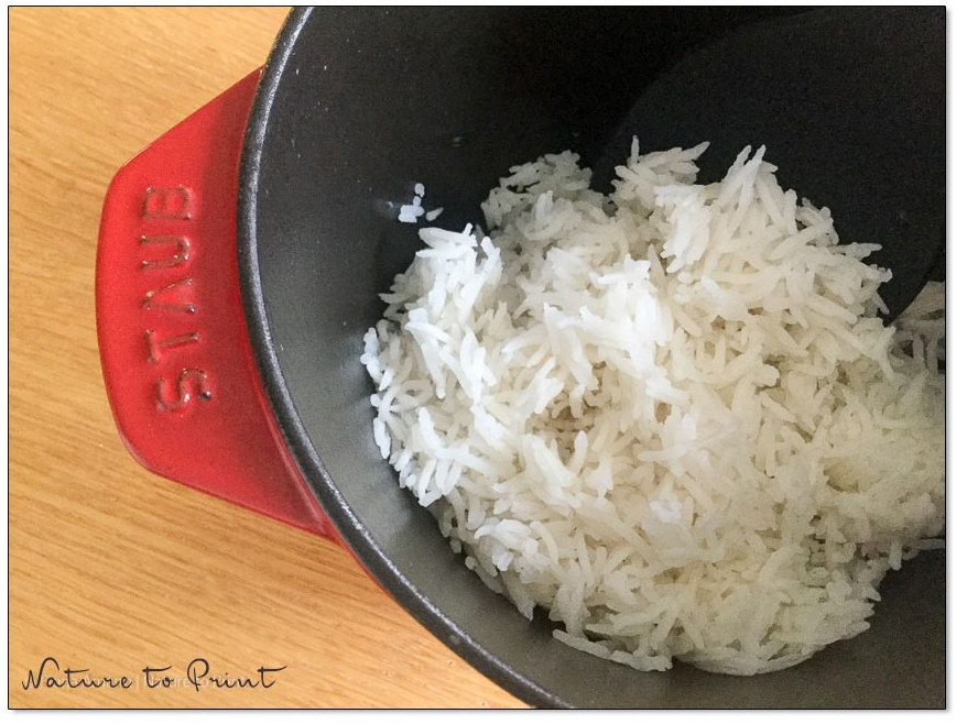 Lockeren Reis kochen in der Reis-Cocotte