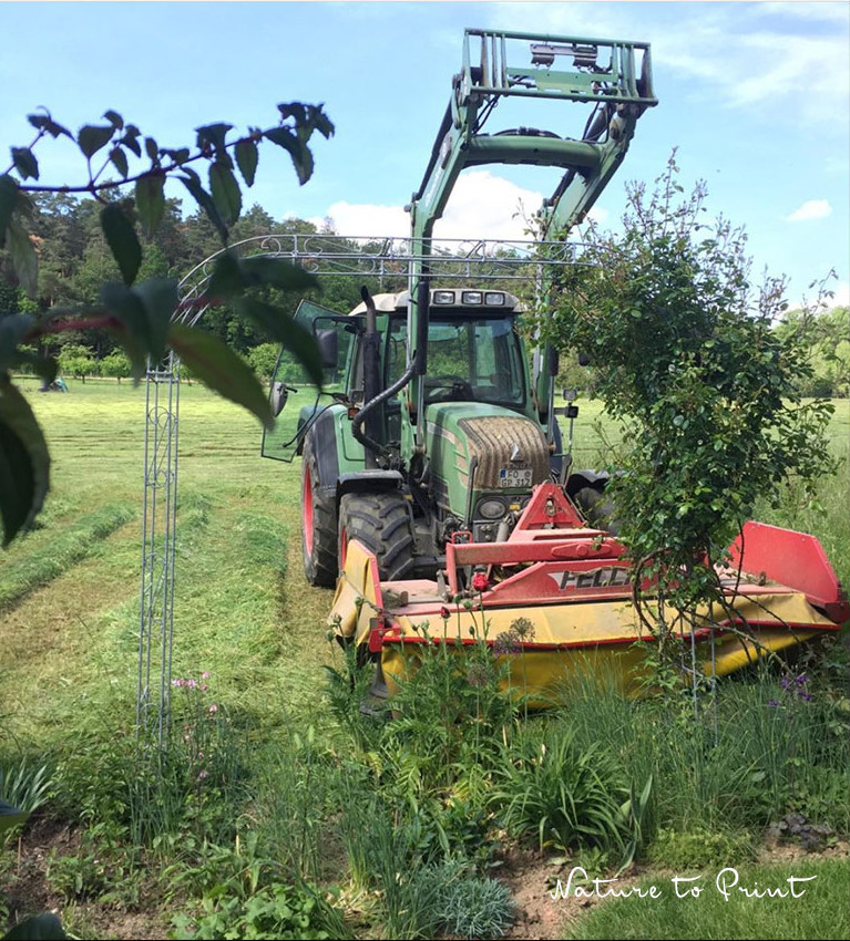 Traktor mäht an der Grundstücksgrenze