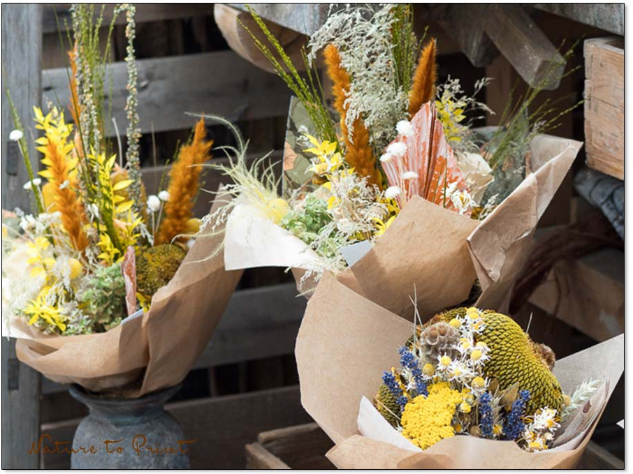 Dekorative Trockenblumensträuße halten ewig