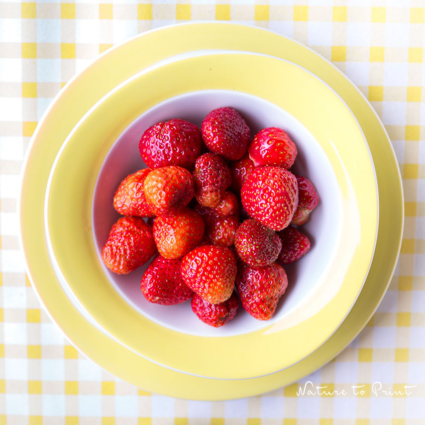 Gärtnern im Mai mit frischen Erdbeeren aus dem Topfgarten Gärtnern im Mai mit frischen Erdbeeren aus dem Topfgarten