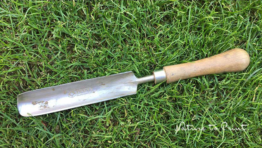 Ein stabiler, langer, geschmiedeter Unkrautstecher mit Holzstiel Ein stabiler, langer Unkraut- oder Wurzelstecher mit Holzstiel ist unverzichtbar in jedem Garten