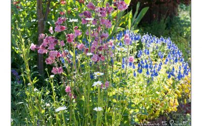 Was Gartenfreunde von Mutter Natur lernen können