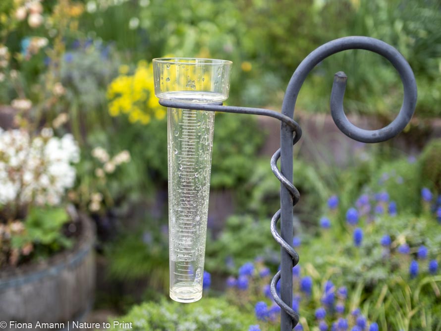 Warum Regenmesser gut und nützlich in jedem Garten sind