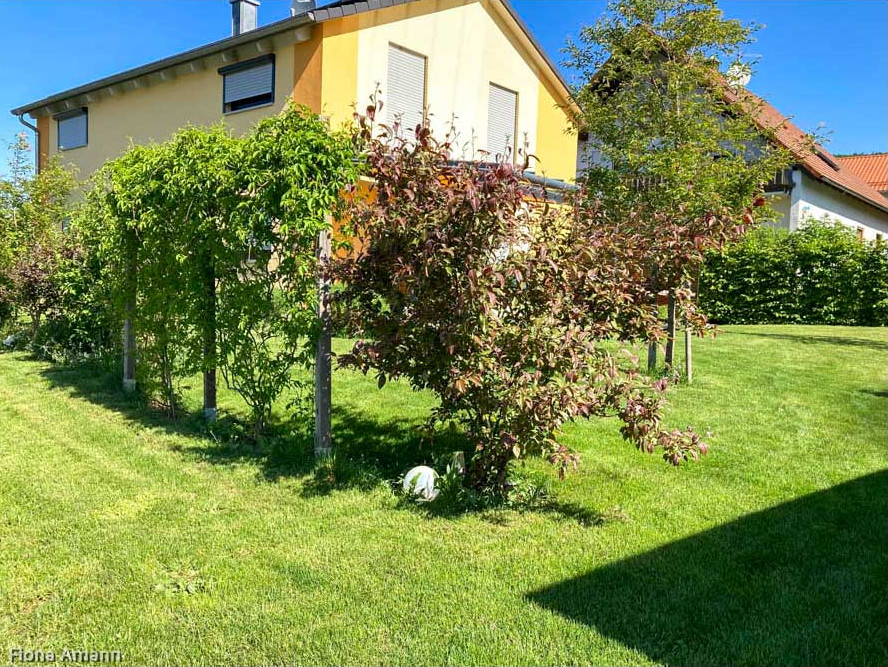 Eine große Wiese vor dem Haus