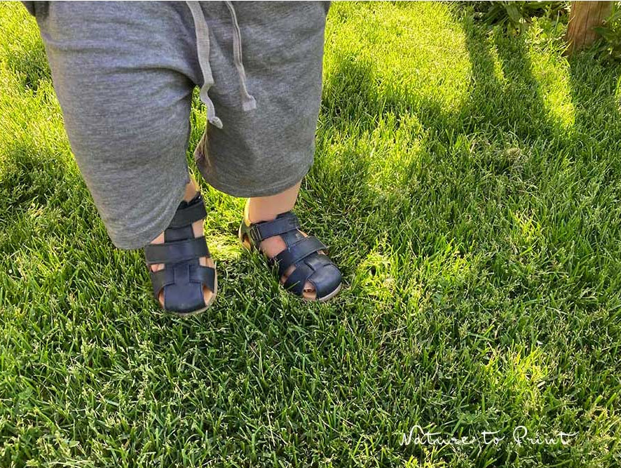 Guter Rasensamen & Pflege halten Wiese und Rollrasen vital