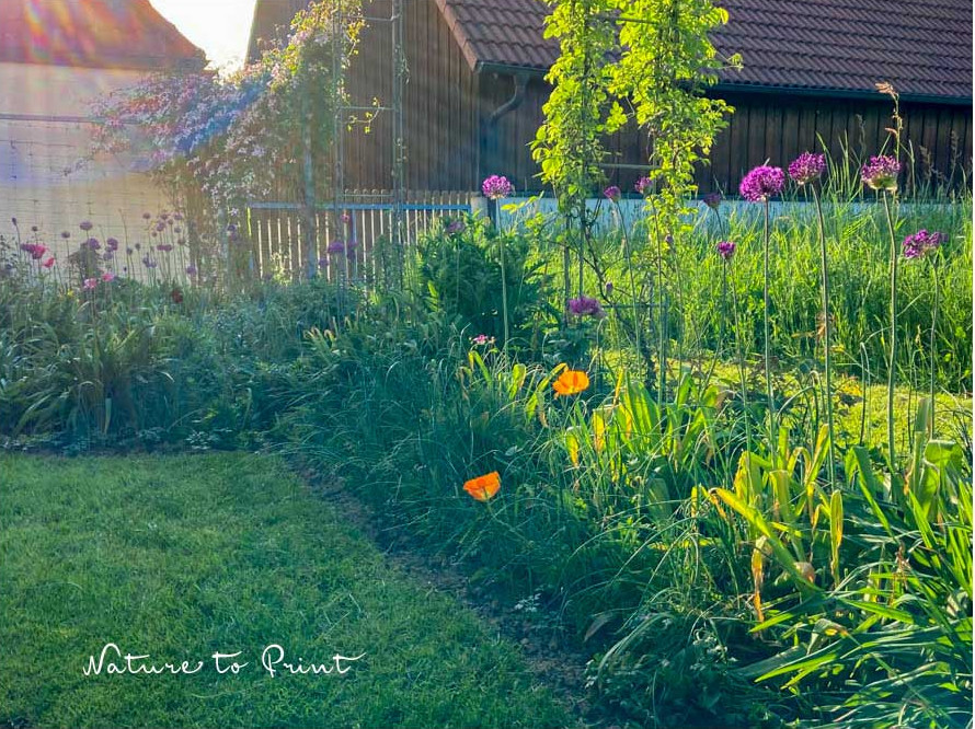 Eine schmale Wiesen erweitert die Terrasse und wird dann zum Wiesenweg