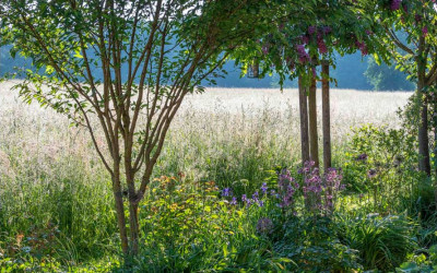 Der Komposter, so wird aus Bio-Abfall Gold