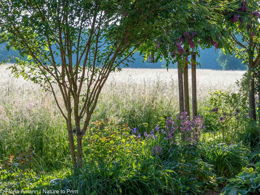 Ein Komposter steht am besten im Halbschatten unter Bäumen