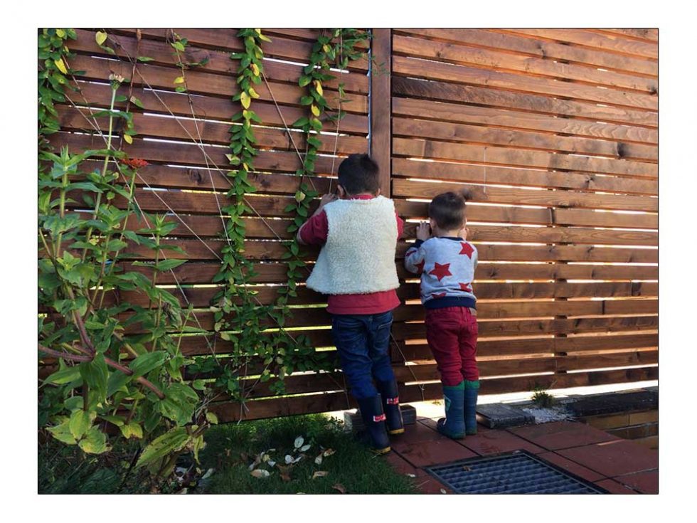 Garten kindersicher machen. 11 Tipps und 1 gratis Checkliste