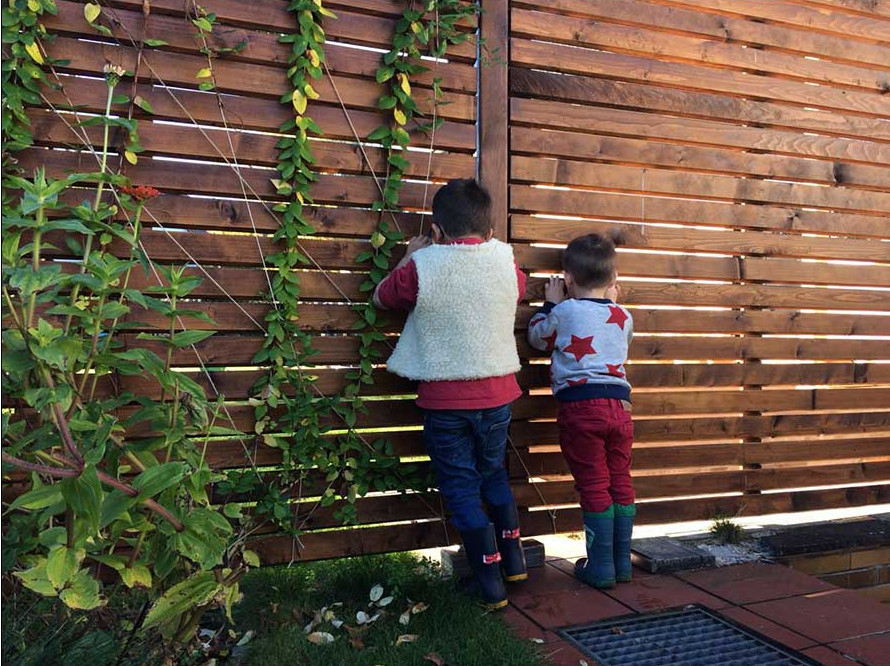 Ein hoher Sichtschutzzaun schützt vor Nachbars Hunden