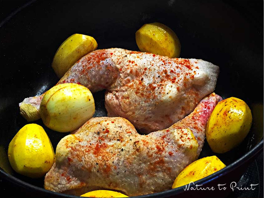 Zwei Hühnerschenkel, Kartoffeln und eine Zwiebel in einem Gusseisentopf. Entweder Dinner für zwei oder der zweite Schenkel wird am nächsten Tag zu Hühnerfrikassee oder Hähnchensalat. Die Kochzeit ändert sich dadurch nicht. Hähnchenschenkel, Kartoffeln und eine Zwiebel in der Cocotte