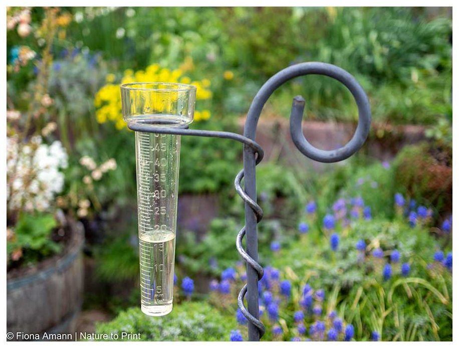 Ein Regenmesser ist unentbehrlich im Sommer, doch im Winter muss er ins Haus.