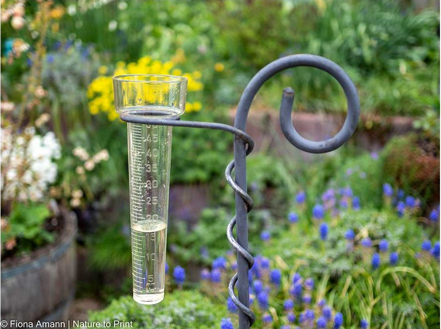 Ein Regenmesser ist unentbehrlich im Sommer, doch im Winter muss er ins Haus. Ein Regenmesser ist unentbehrlich im Sommer, doch im Winter muss er ins Haus.