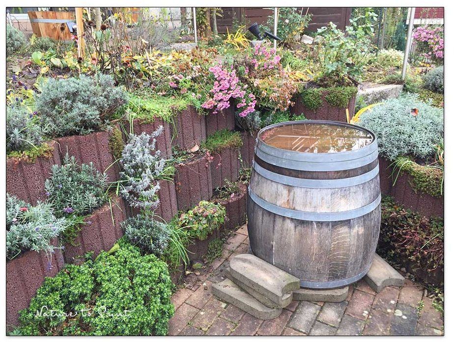 Ein Regenfass aus Holz im Winter falsch herum aufzustellen ist richtig und wichtig damit es weder platzt, noch fault