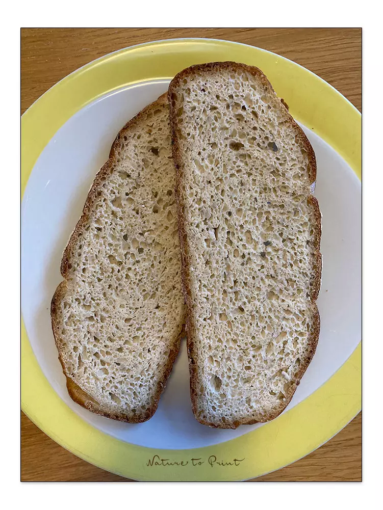 Dinkel-Graupen-Brot, zwei Brotscheiben Dinkel-Graupen-Brot, zwei Brotscheiben