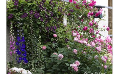 7 Gartentipps für sicheres & leichteres Gärtnern