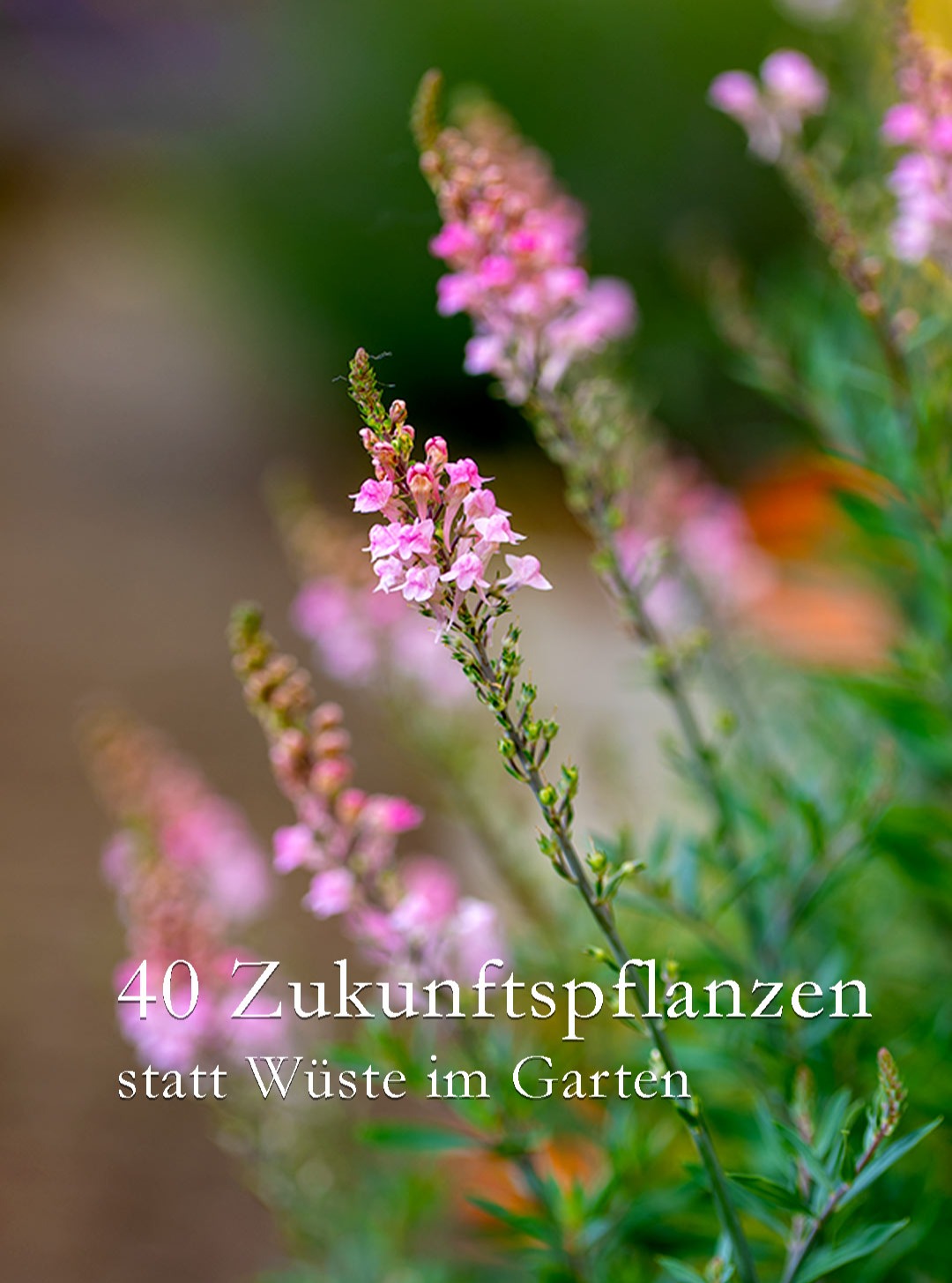 Zukunftspflanzen retten den Garten 

Die Hitze ist vorbei, manche (viele) Gärten sind völlig ausgebrannt nach wochenlanger Trockenheit. In anderen Gärten halten klimafeste Pflanzen dagegen und sehen noch immer gut aus. Beispielsweise:

+ Bergenien 
+ Fetthennen Sedum
+ Prachtkerze Gaura
+ Purpur-Sonnenhut Echinacea
+ Graslilie
+ Goldmohn
+ Spornblume
+ Katzenminze
+ Lavendel
+ Salbei
+ Walzenwolfsmilch
+ Kleine Kokardenblumen
+ Strauchpfingstrosen
+ Rosen
(…)

Was also tun, um den Garten fit für den Klimawandel zu machen?

+++ Klimafitte Zukunftspflanzen setzen
+++ Boden verbessern mit Bentonit, Perlite und Kompost
+++ Bäume pflanzen
+++ Regenwasser sammeln
+++ Richtig gießen

+++ Habe ich was vergessen? Bitte kommentieren

40 Zukunftspflanzen retten den Garten.

https://www.wo-blumenbilder-wachsen.de/hitze-und-trockenheit-garten-retten/

Kurzlink: https://www.insbeet.de/Hitze

#garten #gartenwissen #gartentipps #hitze #trockenheit #naturgarten #gartenliebe #gärtnern #gartengestaltung #gartenideen #dürre #gartenparadies #gartenarbeit #grünerdaumen #stauden #gartenfragen #gartenpflege #pflanzentipps #meingarten #tippsfürdengarten #sonne #pflanzen #bienen #gartenblogger #wetter #gartensommer #blumen #gartenglück #hitzewelle #heiß