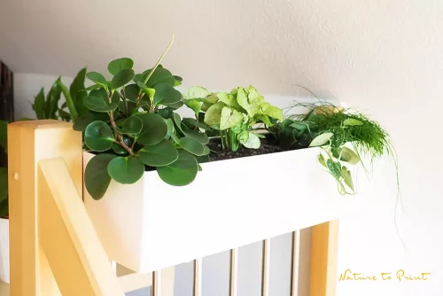 Indoor-Zimmergarten im Treppenhaus 