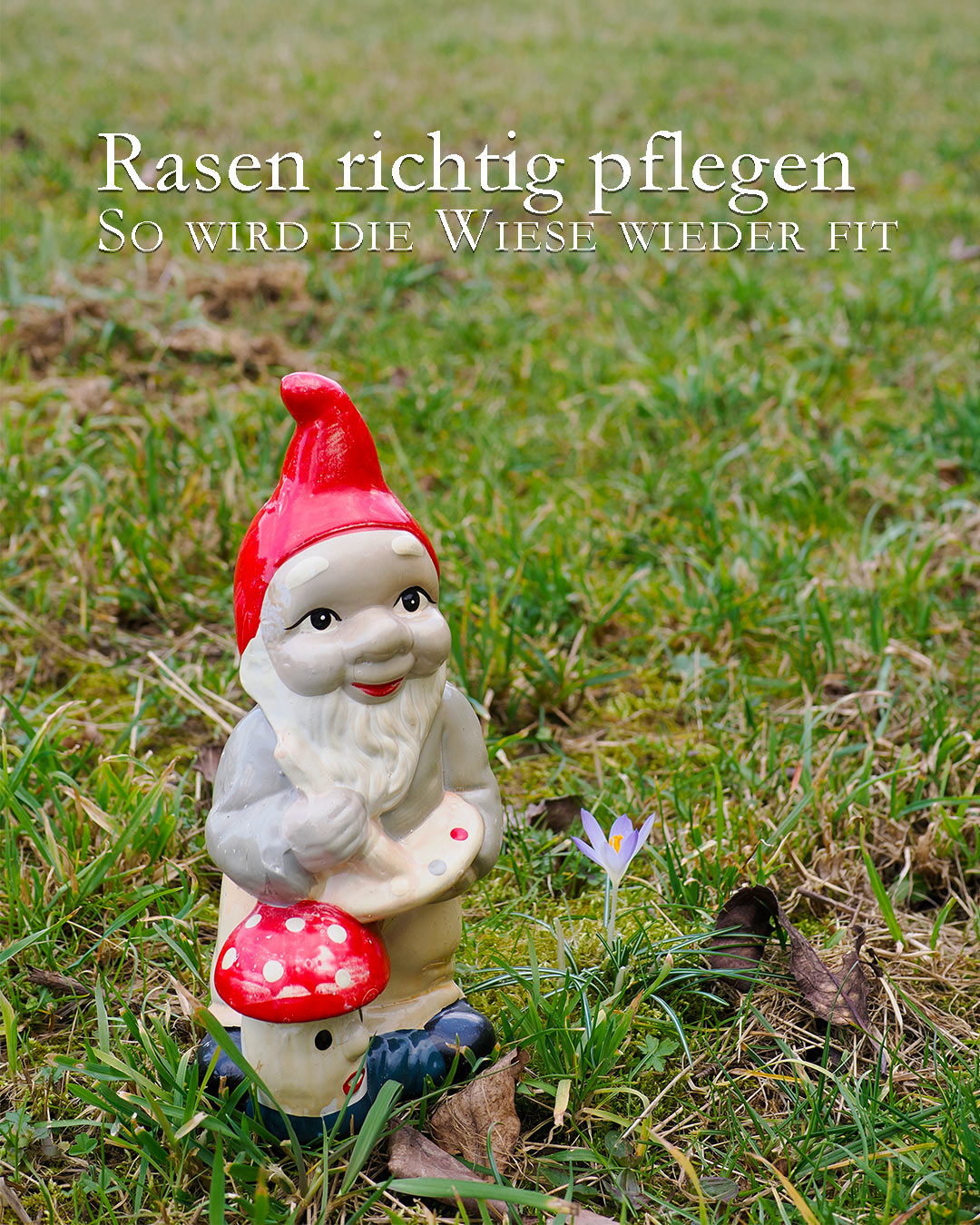 Rasenpflege im Frühling macht Arbeit, lohnt sich aber. Das Beste ist: Sie kommt ohne Chemie und Gifte aus.

Im Blog
* Moos vertreiben auf natürliche Weise
+ Düngen, vertikutieren und lüften? Wann, wie und in welcher Reihenfolge?
+ Lücken im Rasen schließen. Wie und wann?

Im Blog: Rasenpflege im Frühling

https://www.wo-blumenbilder-wachsen.de/rasenpflege-im-fruehling-rasen-fit/

Kurz: http://www.insbeet.de/Rasenfit

#rasen #vertikulieren #wiese #garten #gartenwissen #gartentipps #meinschönergarten #gartengestaltung #düngen #moos #gartenarbeit