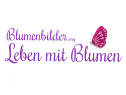 Blumenbilderorg450 Blumenbilder.org Leben mit Blumen