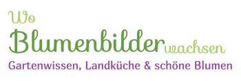 Wo Blumenbilder wachsen