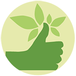 Gartenwissen, Tipps und Tricks aus 4 Jahrzehnten Erfahrung