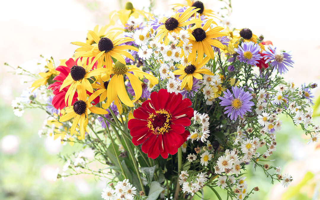 Blumen mit WOW, bunter Blumenstrauß aus dem Garten